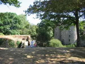 Visite du château