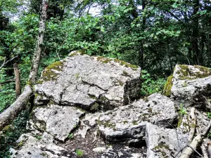 Der flache Stein, oben auf dem großen Holz (© JE)