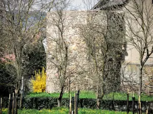 La tour des sorcières, vue du chemin des peupliers (© J.E)