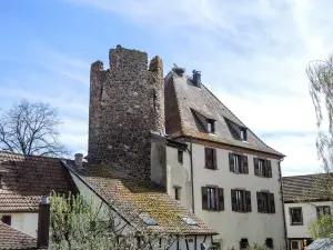 Tour des voleurs, XIIIe siècle, vue du côté ouest (© J.E)