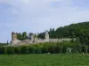 Het kasteel van Hierges
