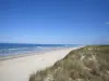 Пляж - Hourtin - Занятие-досуг — Hourtin