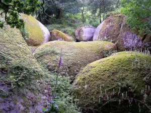 Rochers d'Huelgoat