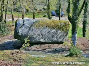 岩石颤抖 -  137吨（©J.E）