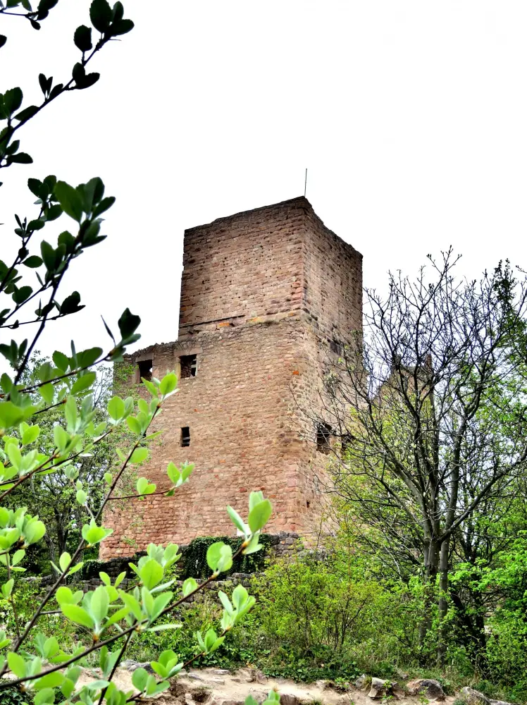 Photos HusserenlesChâteaux Tourisme, Vacances & Weekend