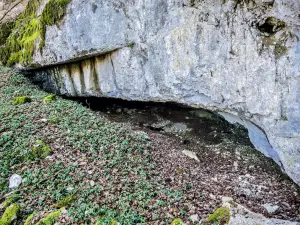 Entrada para a caverna inferior de Vanne (© JE)