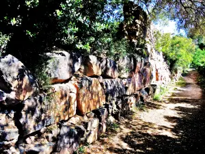 Olbia - griechische Mauer, cyclopean Blöcke (© J. E)