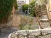Hyères（©フランツ）