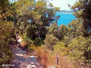 Port-Cros - Blick vom Weg des stark (© J. E)