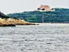 Fort du grand Langoustier, vom Boot aus gesehen (© JE)