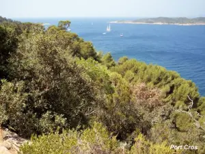 Port-Cros aus dem Norden Küstenpfad gesehen (© J. E)