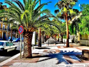 Avenue Gambetta et ses palmiers (© Jean Espirat)