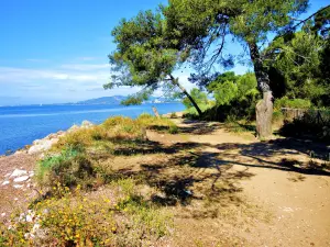 Küstenweg zwischen Hyères und La Londe (© J. E)