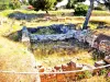 古代の生息地オルビア（©J.E）