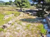 Olbia - habitat islands and Roman shops (© J.E)