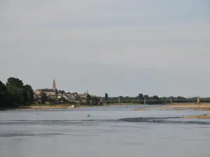 トゥースパスから見たFresne-sur-Loire