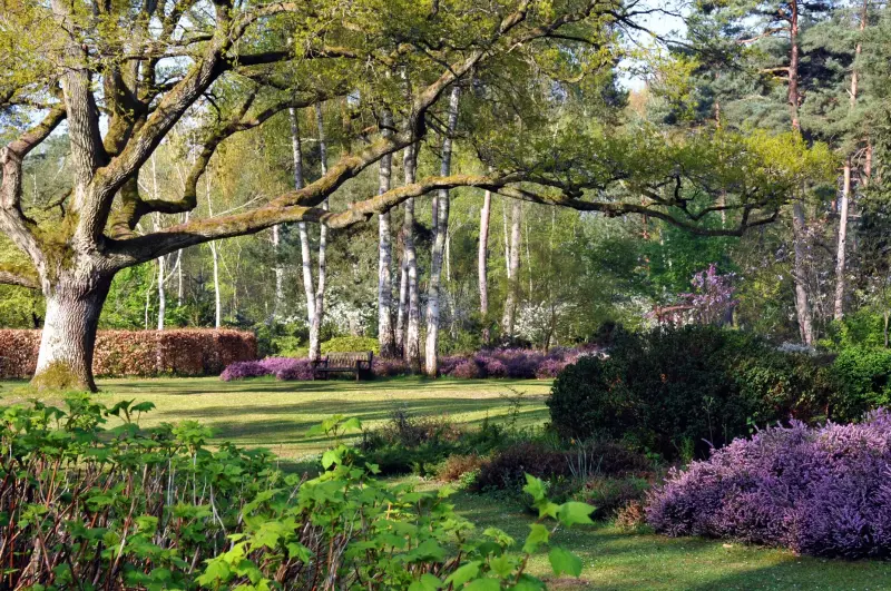Arboreto de los Grandes Bruyères - Lugar de ocio en Ingrannes