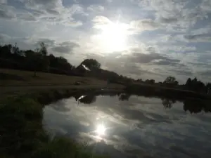 Sonnenaufgang über den Teich