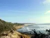 Balade dans la forêt de chênes verts en suivant le littoral