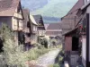 Kaysersberg - Der Fluss