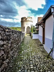 Kientzheim - Pasarela norte y torre de los pícaros (© JE)