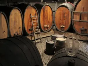 Degustación de vino en uno de los viticultores del valle