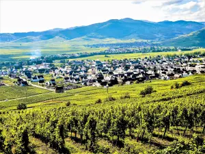 Sigolsheim, vista desde el camino a la necrópolis (© JE)