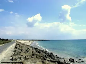 Route du littoral et port Morin