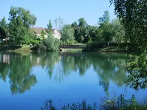 Les étangs, agréable réserve naturelle