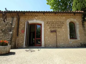 Maison des Vins的门面