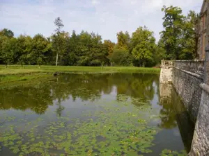 LaFerté-Saint-Aubin城堡 -  Douves