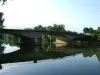 卢瓦尔河上的桥梁