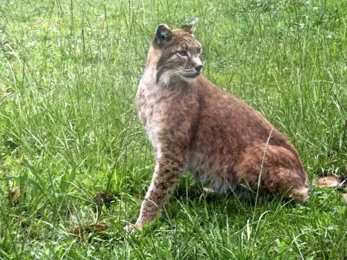 Parc zoologique de la Barben - Lieu de loisirs à La Barben