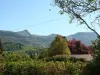 Vue sur la Banne d'Ordanche et le Puy Gros