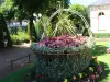 Cesta de flores em La Bourboule