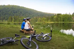 Ciclismo de montaña (© INFRA Massif des Vosges)