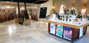 Cellar - Tasting area