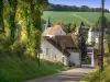 La Celle-Saint-Cyr - Guida turismo, vacanze e weekend nella Yonne