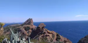 La tête de chien vue de Notre-Dame