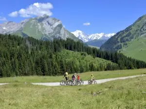 Family mountain biking