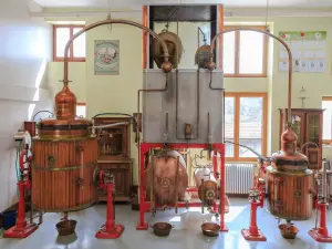 Distilleria Les Fils d'Emile Pernot