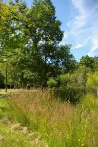 Arboretum von La Ferté-Vidame