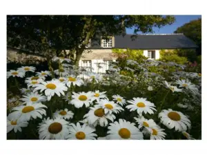 Omonville-la-Petite - Maison Jacques Prévert