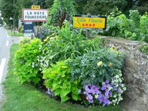 Label Vier steden en dorpen in bloei bloemen