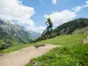 Bike Park de l'Alpe du Grand Serre (© No Limit Shooting)
