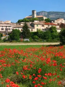 La Motte-Chalancon et ses coquelicots