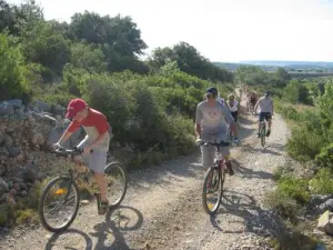 La Palme, Wandern