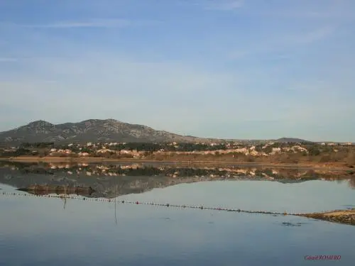 Teich von La Palme - Naturstätte in La Palme