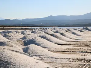 Salin de La Palme