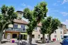 La Roche-de-Glun - La commune